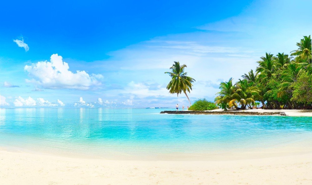 PARADISE ISLAND, PARADISE ISLAND IN