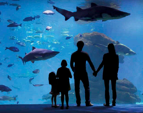 PALMA DE MALLORCA + AQUARIUM SEVER + VÝ