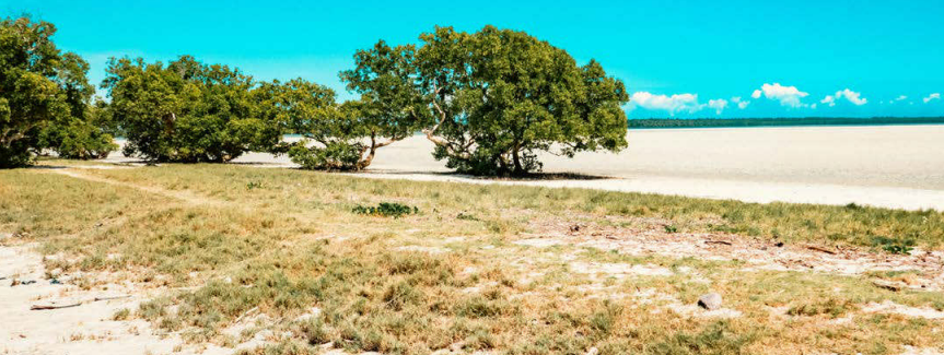 Mida Creek