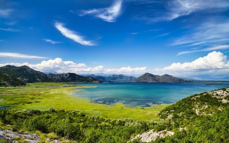 SKADARSKÉ JEZERO (VIRPAZAR|VRANJINA)