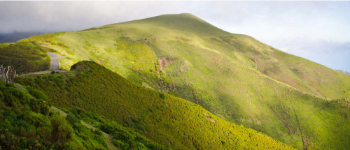 Levada