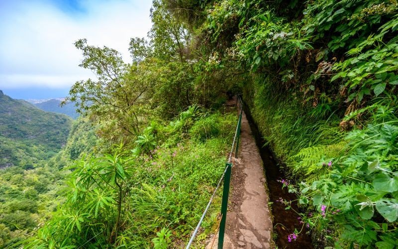 Caldeirao Verde