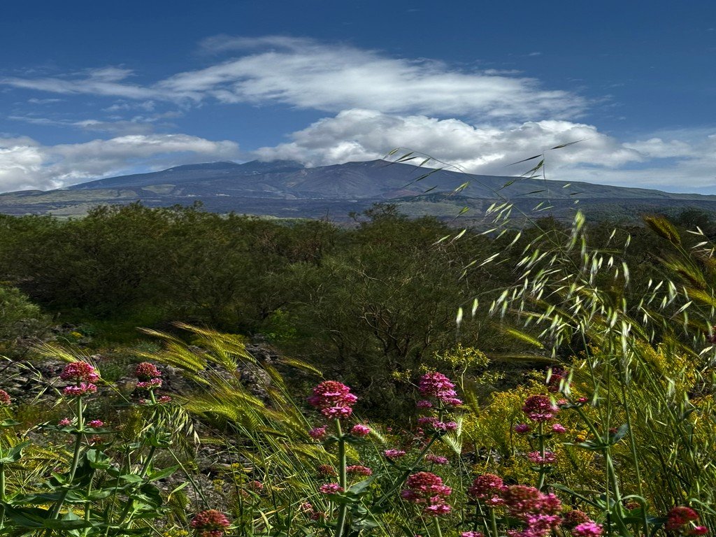 Etna