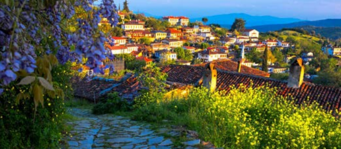 SIRINCE