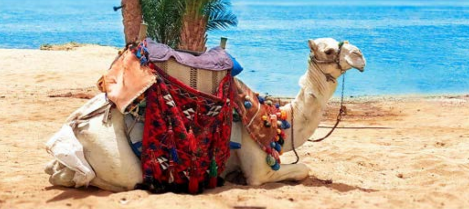 Egypt