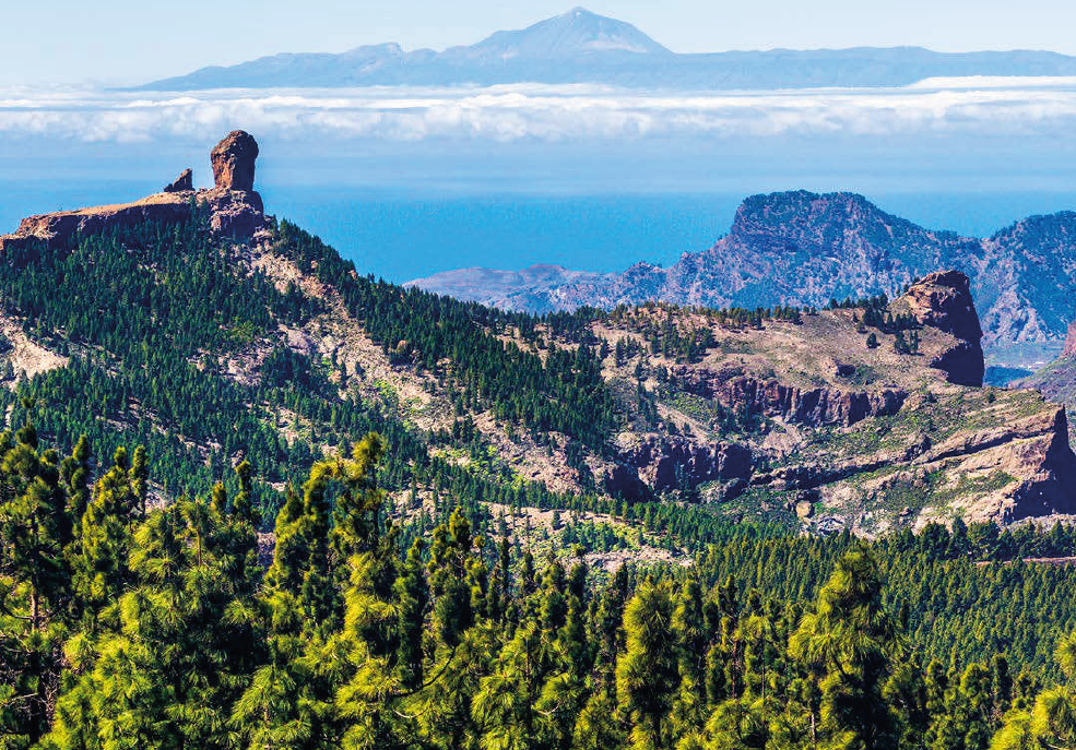 GRAN CANARIA HIGHLIGHTS