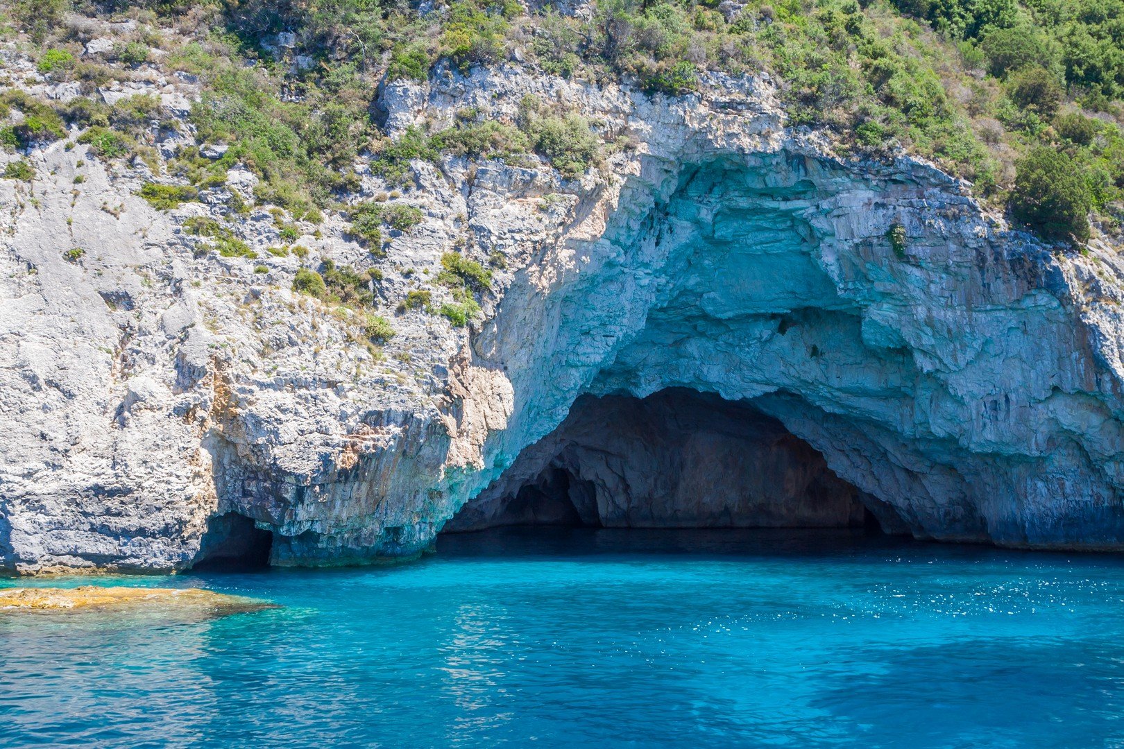 Paxos