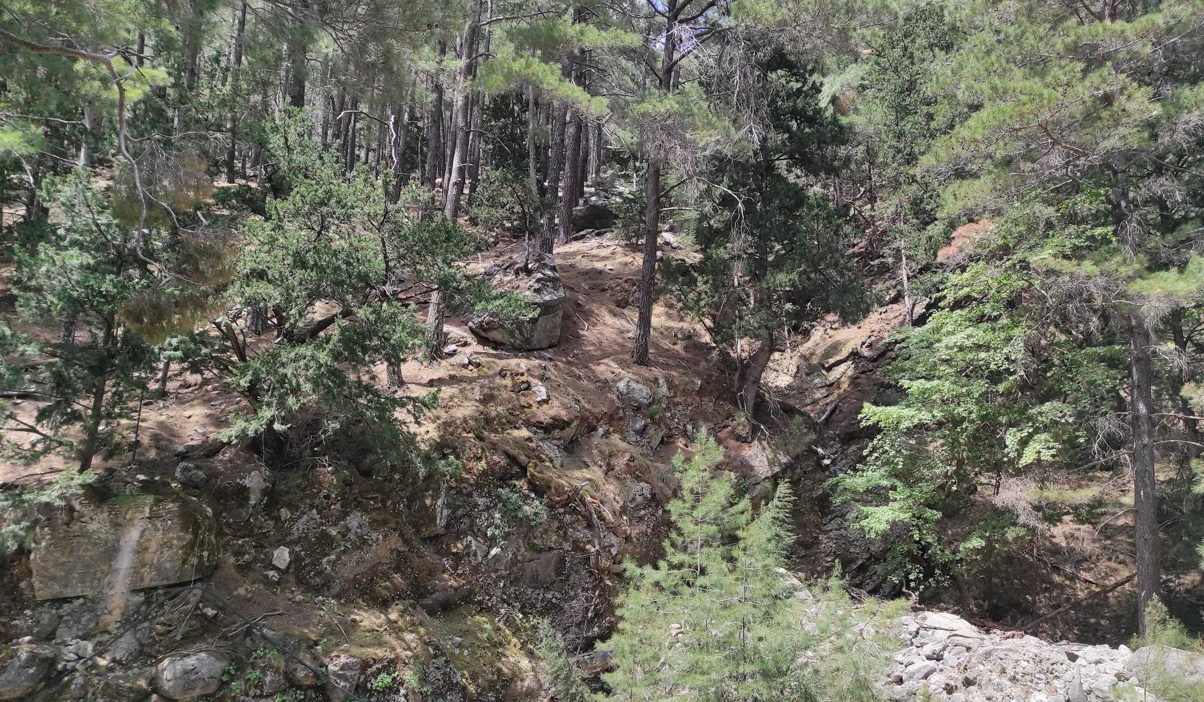 samaria_schlucht_3_600x350