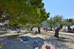 Hotel APARTMÁNY 1355-1475 dovolená
