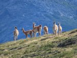 Hotel Ledové království Patagonie a Ohňové země (Argentina - Chile) dovolená