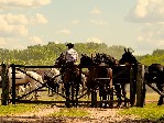 Gaucho den na ranči San Antonio del Areco.jpg
