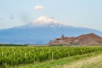 Ararat