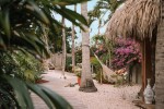 Hotel Paradera Park Aruba dovolenka