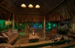 Hotel Paradera Park Aruba dovolenka
