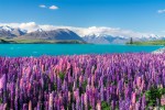 Hotel Austrálie - Nový Zéland dovolená