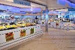 (Austrálie, Nový Jižní Wales, Sydney) - Austrálie ze Sydney na lodi Celebrity Eclipse, plavba s bonusem