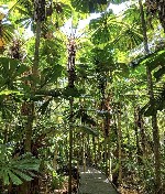 Hotel AUSTRÁLIE ZEMĚ PROTINOŽCŮ dovolená