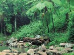 Austrálie - Nejkrásnější místa východní pobřeží Austrálie