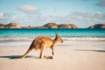Austrálie - To nejlepší z Austrálie