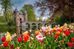 Hotel Belgie a Holandsko v květu tulipánů dovolená