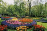 Hotel Belgie a Holandsko v květu tulipánů dovolená