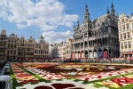 Hotel To nejlepší z Belgie a Lucemburska s květinovým kobercem dovolená