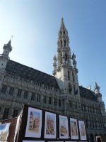 (Belgie, Francie, Paříž a okolí, Nizozemsko) - Z Paříže za nejkrásnějšími místy Beneluxu