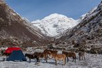 Hotel Bhútán - trek Druk Path dovolená