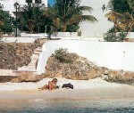 Bonaire, Bonaire, Kralendijk - CAPTAIN DONS HABITAT