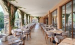 Restaurace, terasa