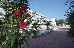 Exteriér hotelu 