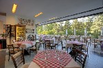 Hotel Lebed dovolená