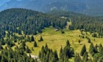 Hotel Bulharsko - od hor až k moři na Zlaté Písky dovolená