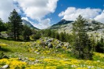 Národní park Lovcen, Černá hora