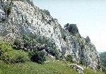image011.jpg