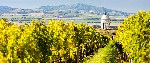velke-bilovice-ubytovani-penzion-mlyn-01.jpg
