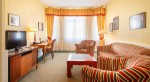 Hotel DVOŘÁK SPA & WELLNESS dovolená