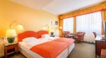 Hotel DVOŘÁK SPA & WELLNESS dovolená