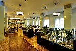 Hotel WELLNESS HOTEL ROYAL REGENT - Léčebný pobyt se STÁTNÍ PODPOROU - Karlovy Vary dovolená