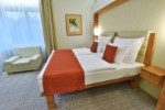Hotel WELLNESS HOTEL ROYAL REGENT - Všední dny v lázních dovolená