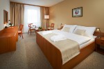 Hotel SPA DĚVÍN dovolená