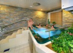 Hotel ŠPINDLEROVA BOUDA dovolená