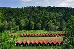 Hotel RS MÁCHŮV MLÝN dovolená