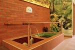 Kneippova koupel v Šumavských lázních