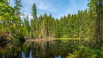 Česká republika, Šumava, Kašperské Hory - Šumava z české i německé strany
