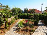 Duško vila - Orebič (Pelješac) - 101 CK Zemek - Chorvatsko
