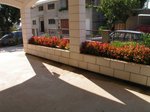 Marija penzion - Gradac - 101 CK Zemek - Chorvatsko