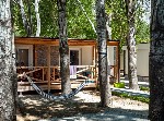 Camp