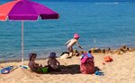 Hotel CAMP GALEB dovolená