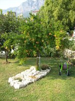 Neda (Maršić) vila - Gradac - 101 CK Zemek - Chorvatsko